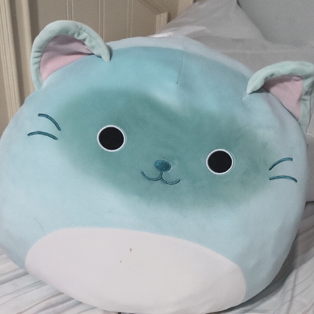 Blue Cat Squishmallow